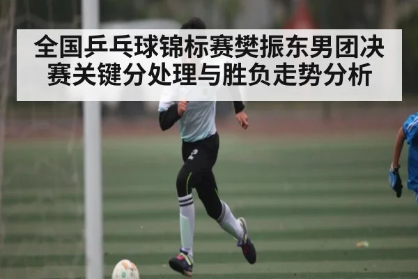 全国乒乓球锦标赛樊振东男团决赛关键分处理与胜负走势分析