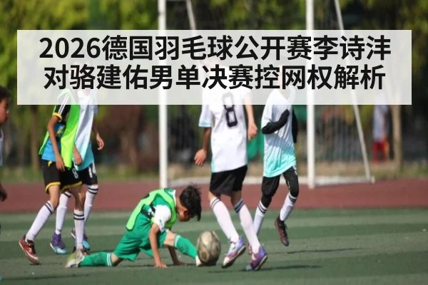 2026德国羽毛球公开赛李诗沣对骆建佑男单决赛控网权解析